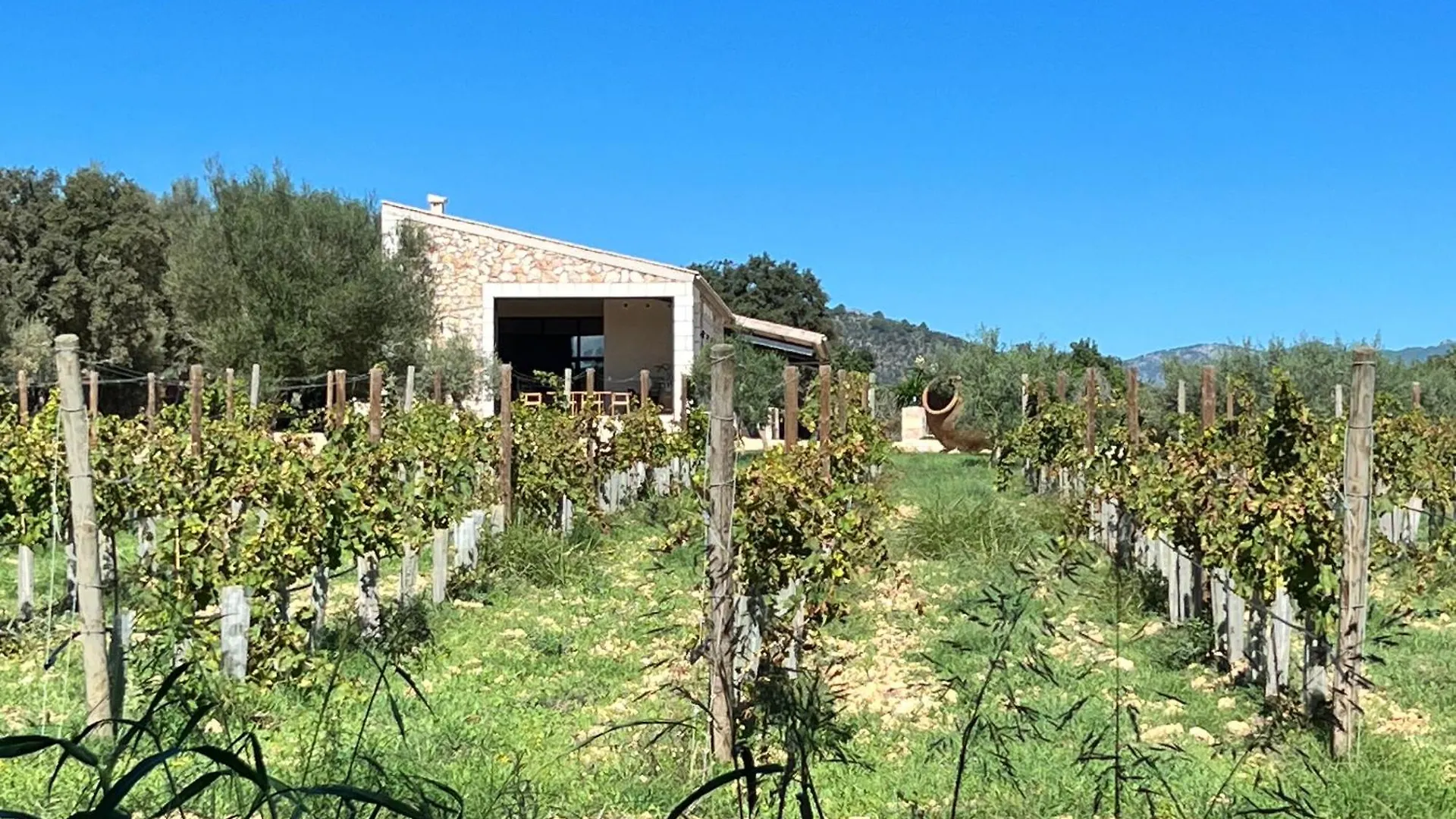 Los Dos Caballeros Winery & Vacation Rental Llubi 0*,  Spain