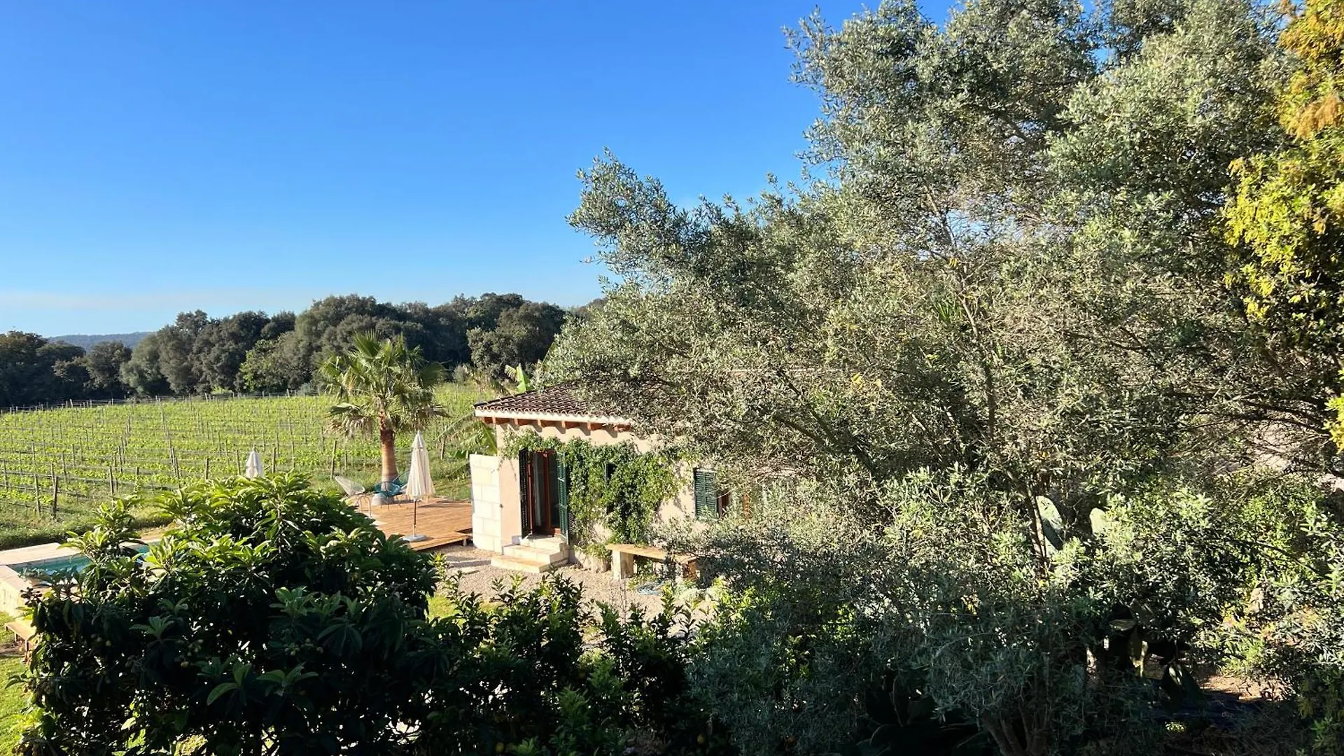 Los Dos Caballeros Winery & Vacation Rental Llubi